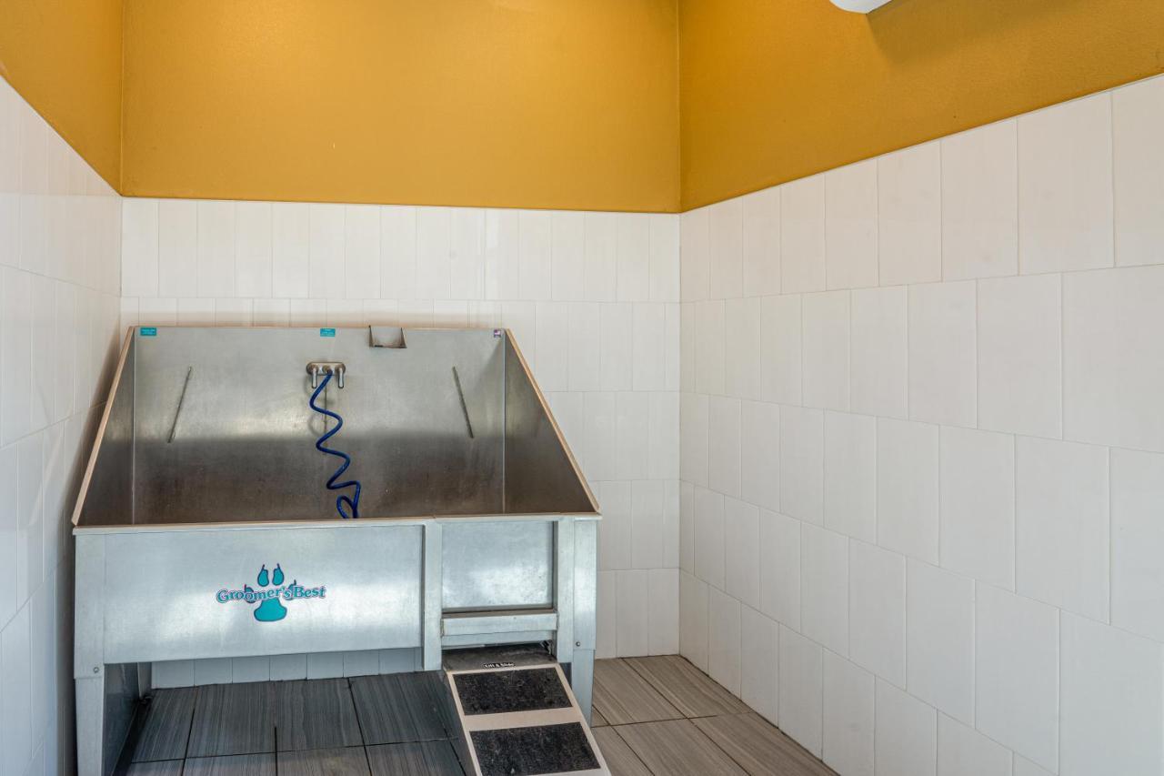 Luxe 3B/2B Getaway - Pool, Gym, Parking, Pet Wash Lejlighed Leander Eksteriør billede